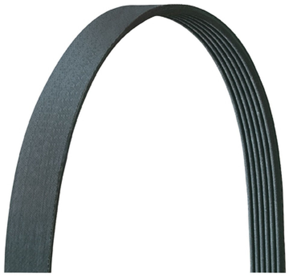 Correa Poly-v Multicanal 5pk1815